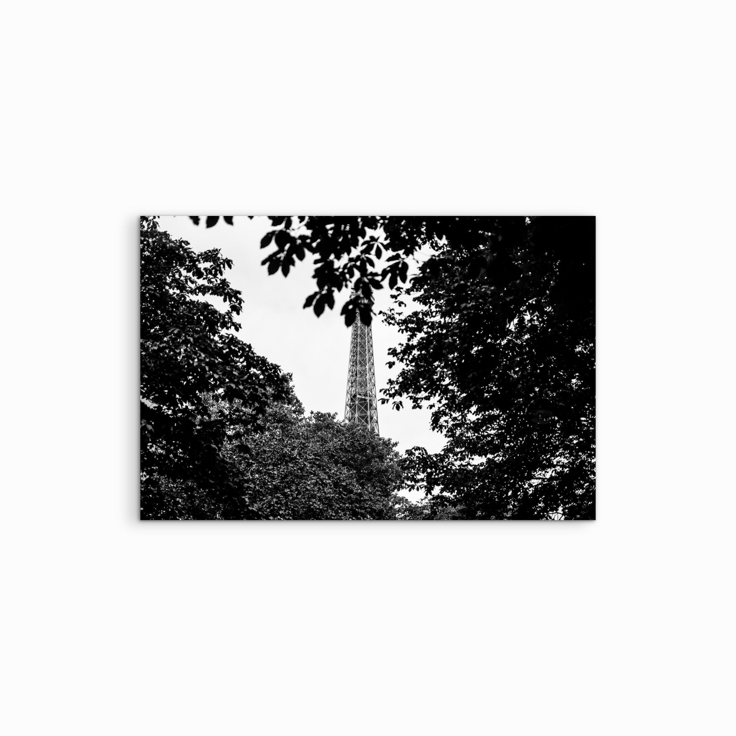 Schwarz-weiss-Fotografie mit Bäumen im Vordergrund, durch die ein versteckter Teil des Eiffelturms in Paris sichtbar wird.